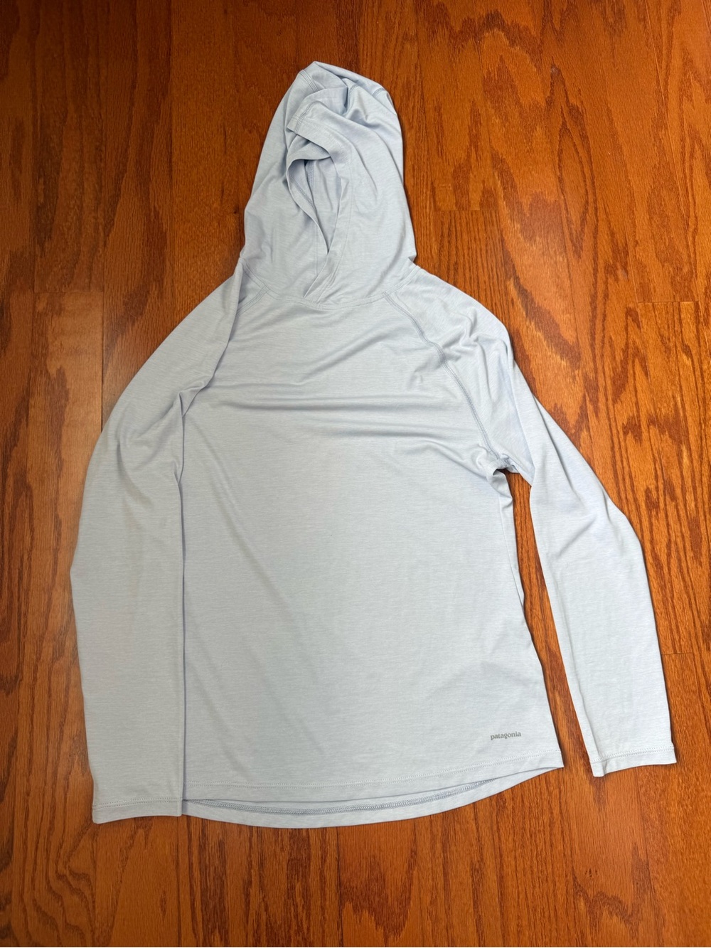 Patagonia Light Blue Performance Hoodie